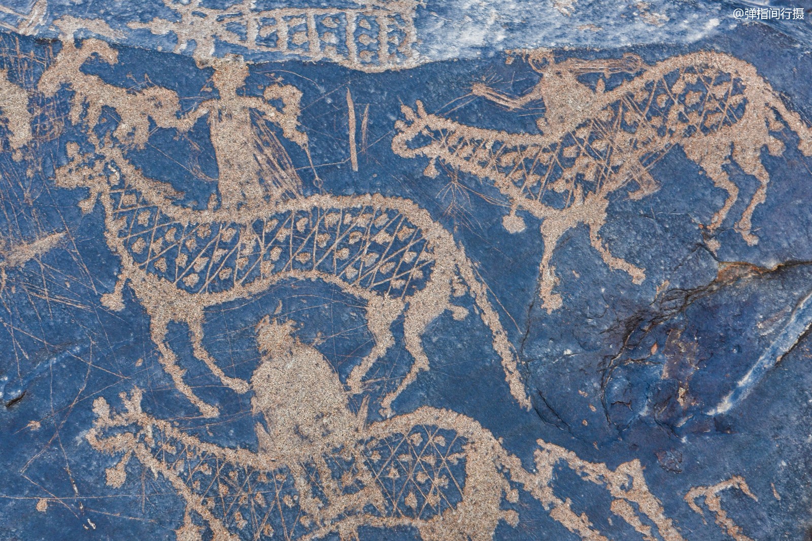 为保护远古岩画老夫妇坚守荒漠11年为的不是1200的工资