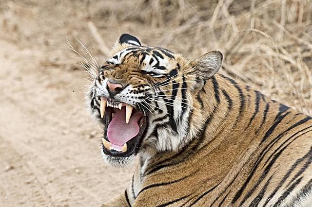 员工递交辞职信,老板不肯签字承诺加薪1200,一个月后员工发飙!