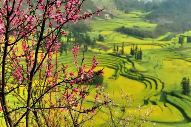 大好春光4月花开成海中国最美的10个赏花地惊艳整个朋友圈