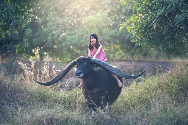一组照片告诉你柬埔寨女人有多美?