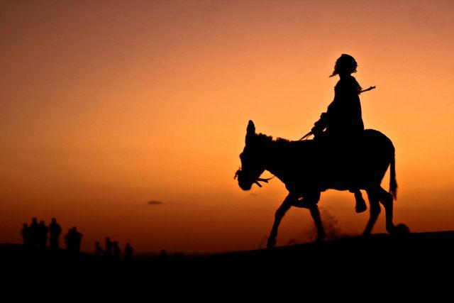 科举故事拍案称奇:毛驴骑人那一年,河北父子同榜高中