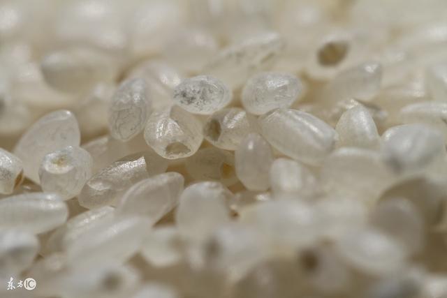 网传的"塑料大米"是真的吗?不要再被这种谣言欺骗了!