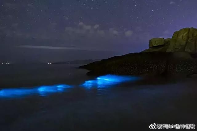 你去了么|平潭|蓝眼泪|东庠岛_新浪网