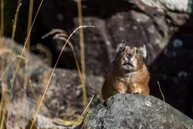 每一个都是值得去了再去的好地方