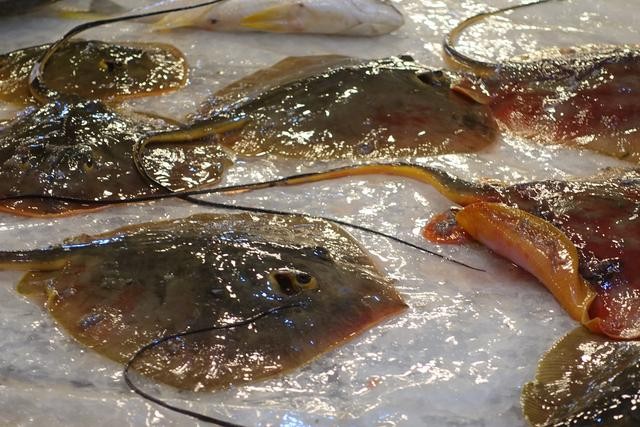 这种"飞鱼"在日本是极品海鲜,卖400元一斤,在舟山是白菜价