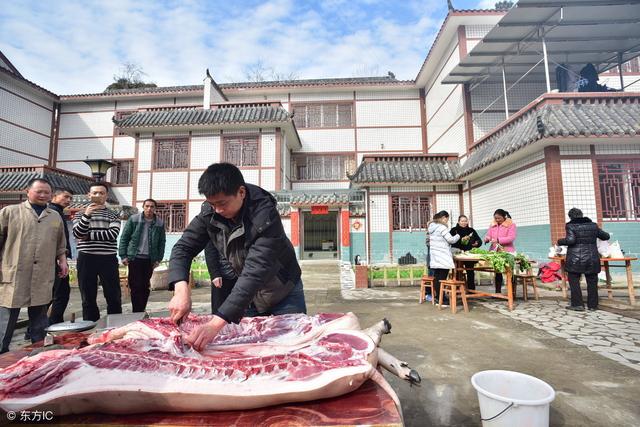 一两次的大事——杀年猪吃刨汤,很久没见过了|农村|肥猪|猪肉_新浪网