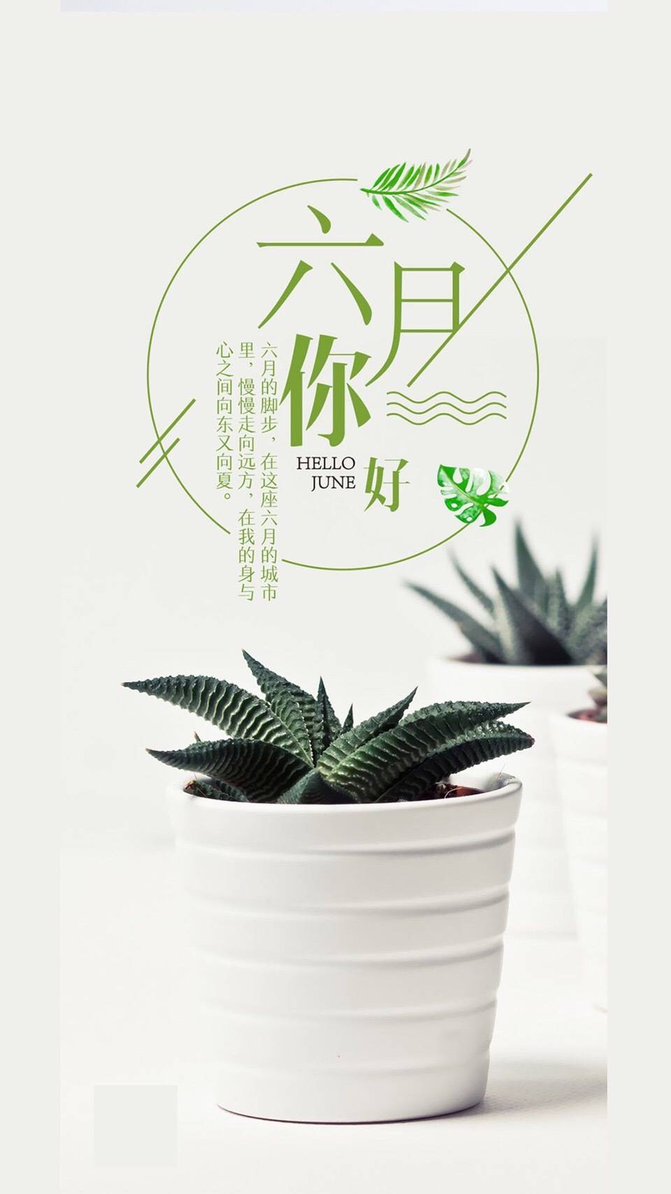 五月再见六月你好生活像一只蝴蝶没有破茧的勇气