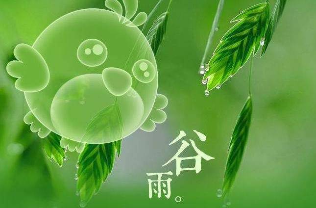 谷雨洗桃花水澡消灾避祸大富大贵谷雨节气的习俗与禁忌