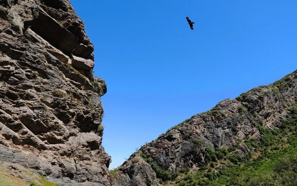 乌鲁木齐石人沟景区门票(乌鲁木齐石人沟景区门票多少钱)