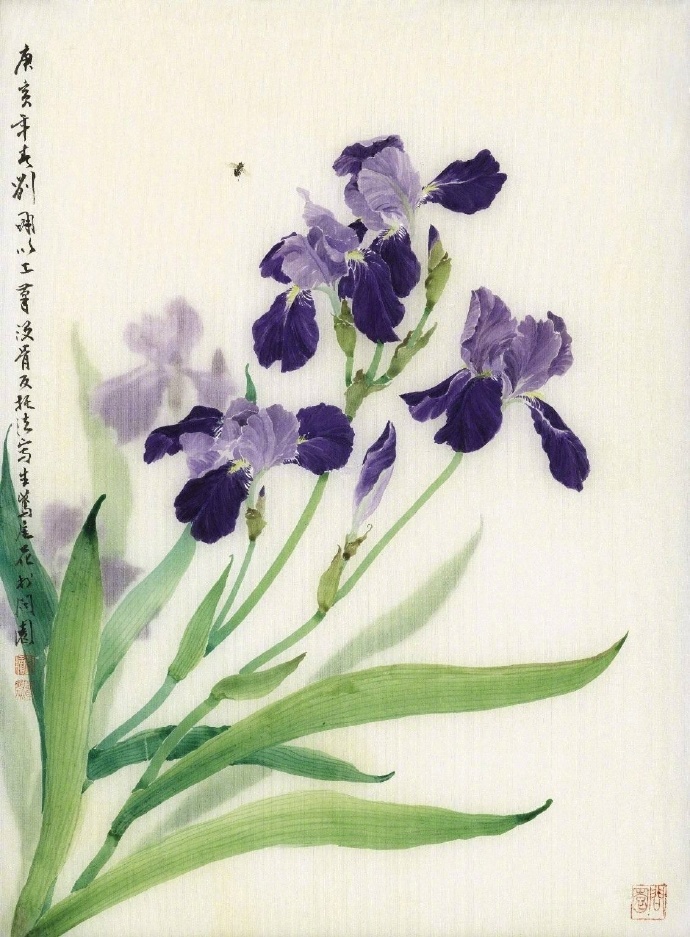 刘墉· 花鸟欣赏