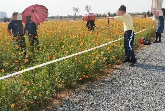 为拍照 警戒绳都拦不住游客肆意踩踏花草