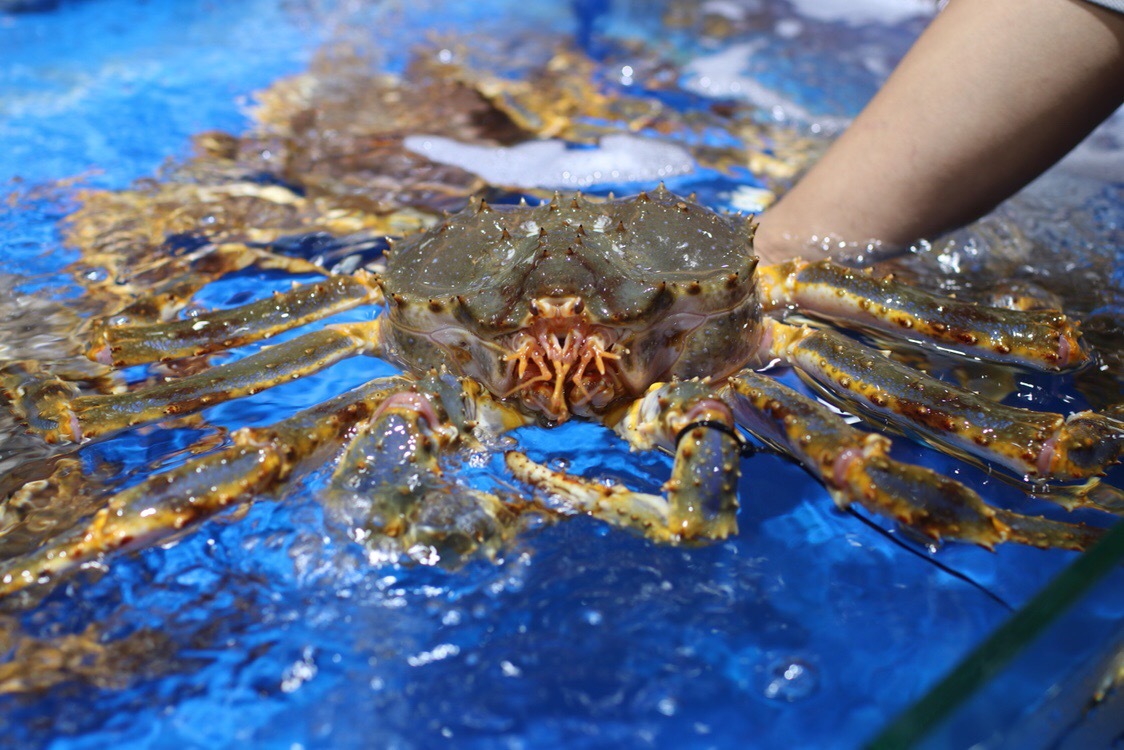 "巨瀚海中鲜"不到海边吃遍海鲜