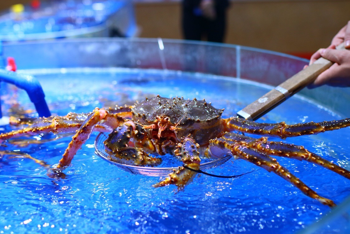 "巨瀚海中鲜"不到海边吃遍海鲜