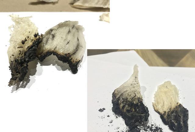 从此《假燕窝》是路人