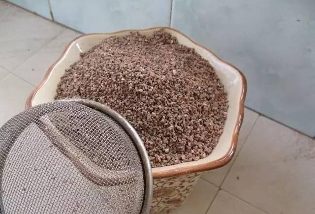 绿萝|豆渣|煤渣_新浪新闻