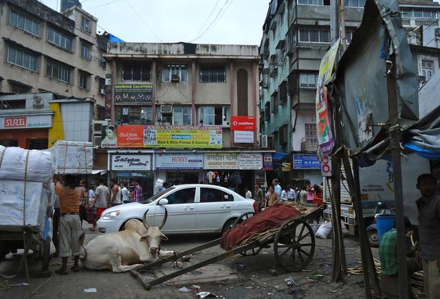 外国人在印度所闻,火车站如难民营,用手抓饭,你还想去吗?