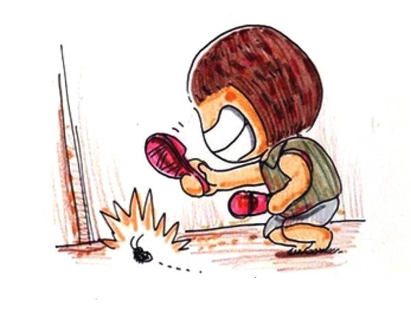 自制灭蟑神器,亲测有效!