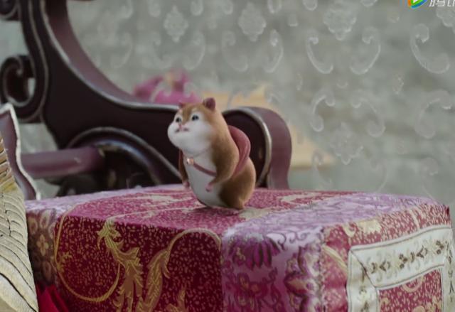 《扶摇》元宝和扶摇争宠,化为人形后,无奈却爱上了他!