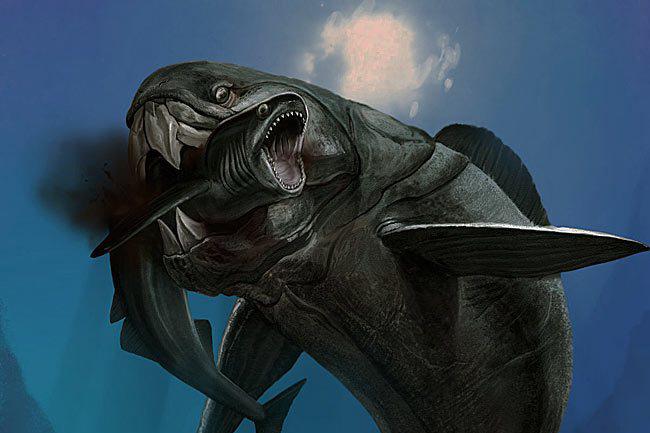 想过没有,鲨鱼始祖最怕谁?