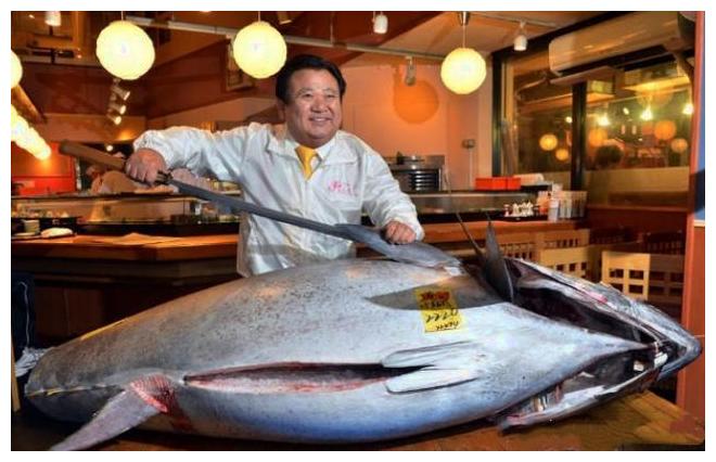 日本顶级鱼肉,吃一口花掉你一个月工资,中国吃货:家里没矿
