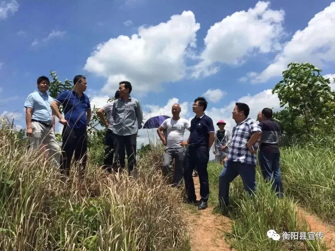 为了这些目的,人大代表齐聚衡阳县三湖镇联洋村