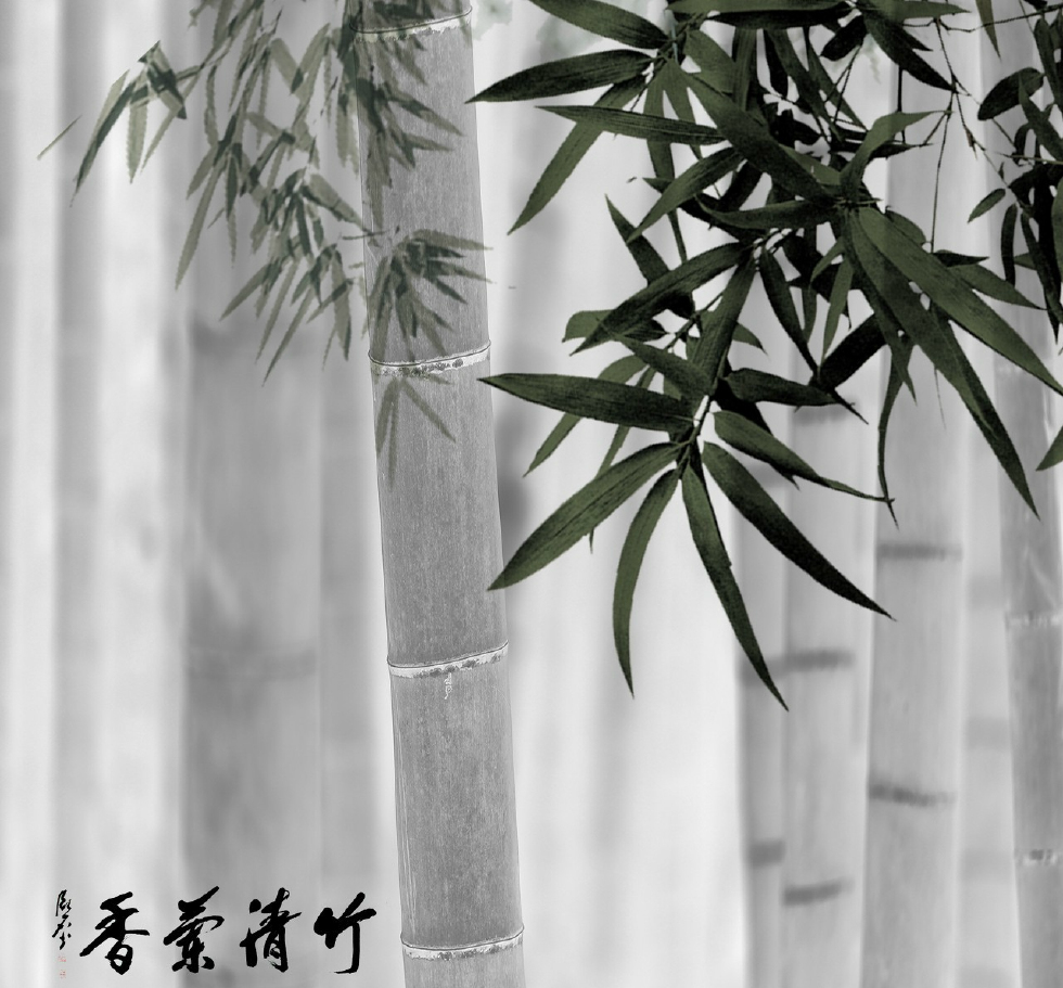 中国美德的物质载体，君子的象征，无数仁人志士喜爱的墨竹图