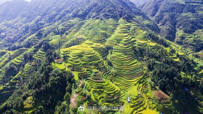 羊福梯田风景如画