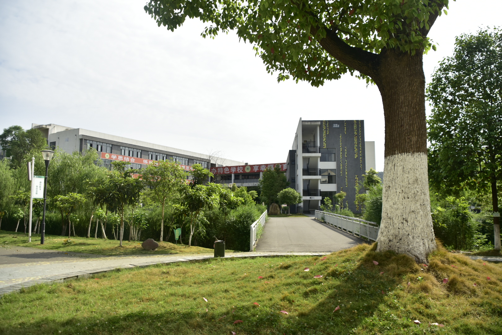 汶川地震十年回望新北川中学:重建十年 感恩侨爱