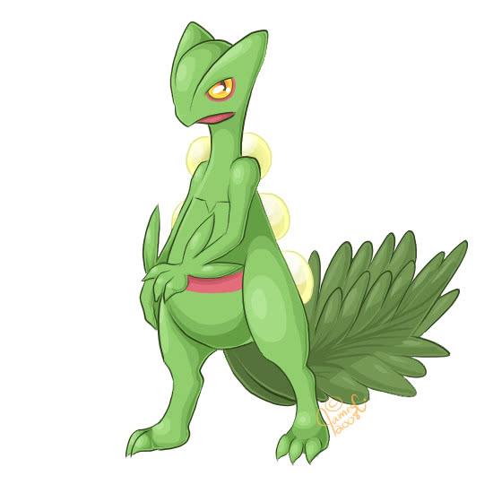 神奇宝贝大爆料蜥蜴王不是男孩子我的神奇宝贝不可能这么帅