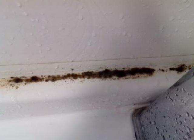 卫生间玻璃胶"发黑长霉"?老师傅教你一招,清理后焕然一新!