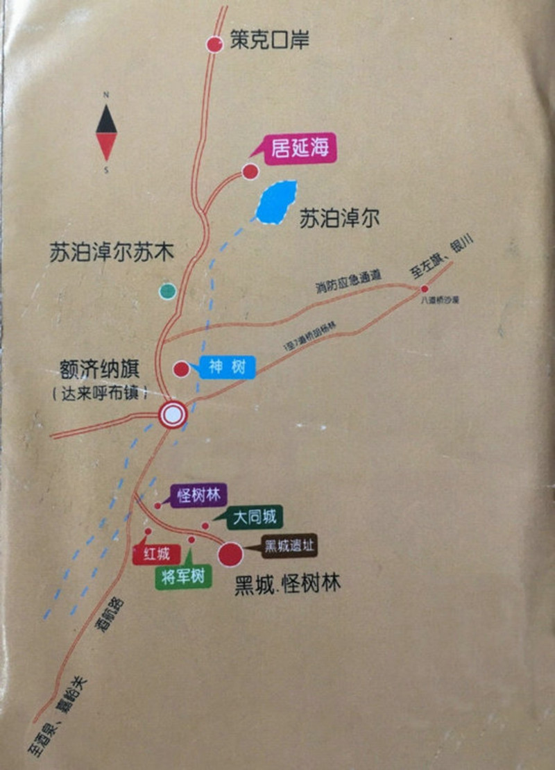 额济纳旗见过的最美金秋在这里