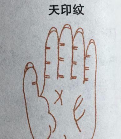 星座运势: 象征大富大贵以及名声地位非特别的手相掌纹, 有你吗?|手相|掌纹|星座_新浪新闻