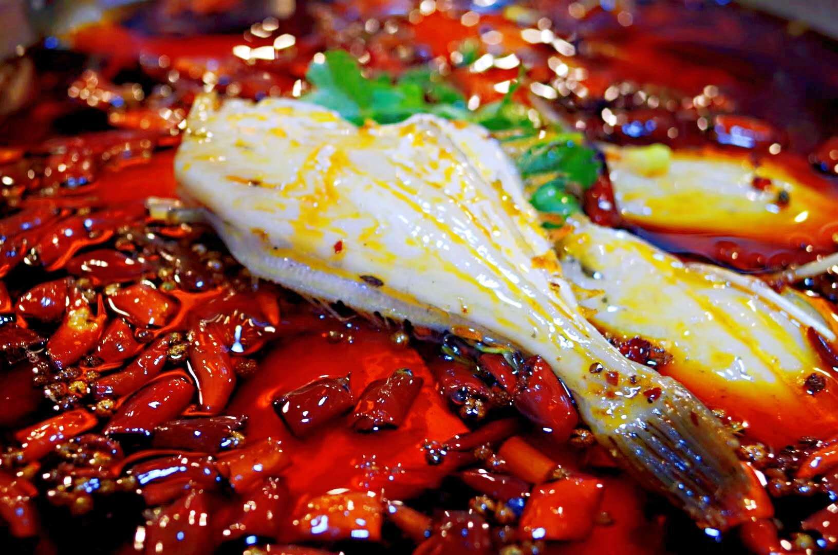 遇见美食耗儿鱼难道我会告诉你吃了要上瘾吗