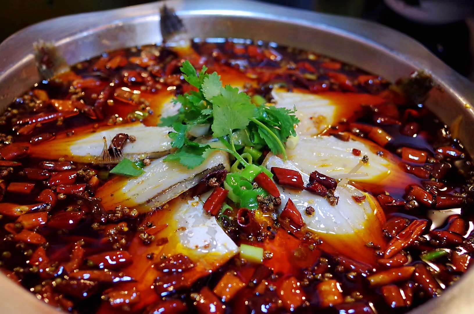 遇见美食耗儿鱼难道我会告诉你吃了要上瘾吗