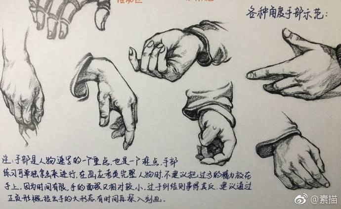 速写手部结构详解,送给学速写的童鞋们!|速写|手部|童鞋|结构_新浪新闻