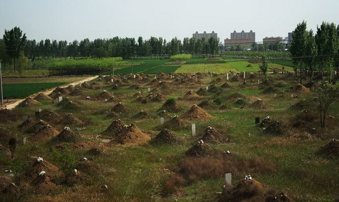 农村老话说"宁住荒坟,不宿古庙",到底有没有道理?