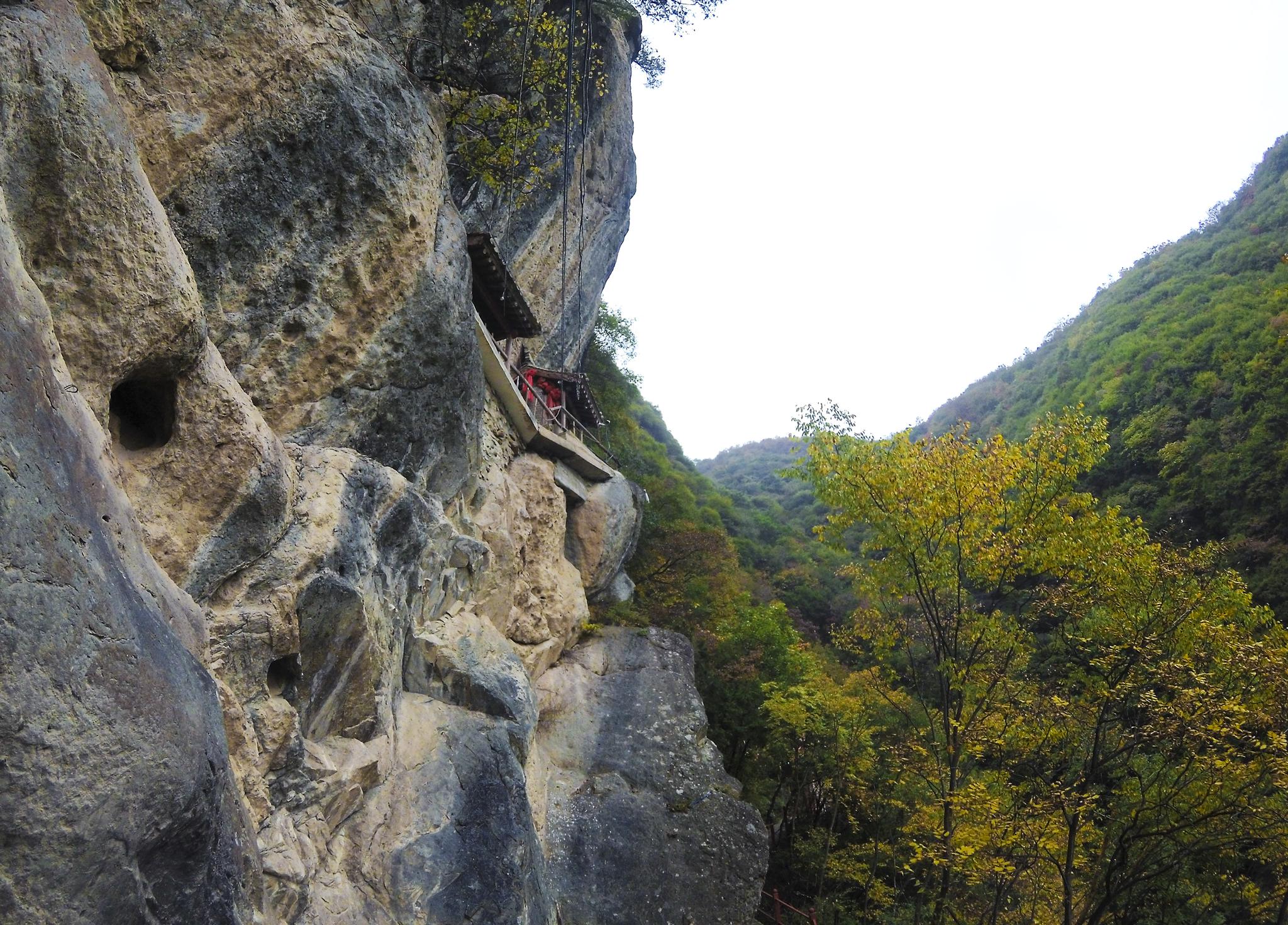 花石崖,这一外未曾开垦的处女地,究竟藏着什么秘密?
