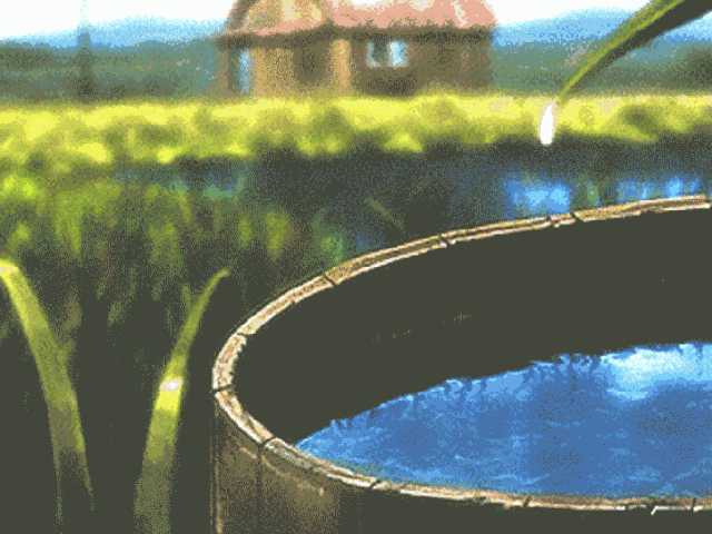 640_480gif 动态图 动图