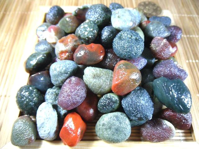 男子捡到很多黑山玛瑙原石,而且颜色也很丰富