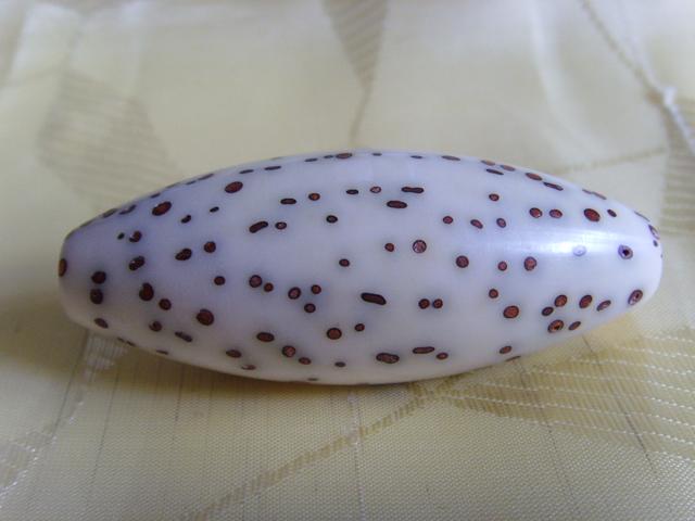 "天珠"千眼菩提的和价值,众星捧月,把件形态各异,魅力爆棚!