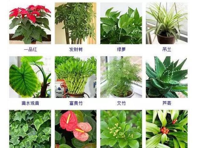 全球经济现在都怎么样