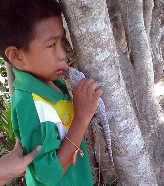 泰国小学生跟大蜥蜴接吻,结果.