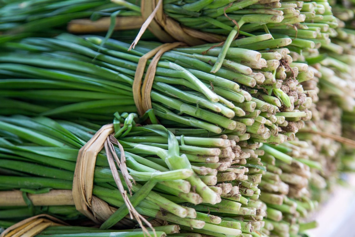 小小痔疮不可怕,韭菜 葱白才是中药名方,抗病毒治痔疮!