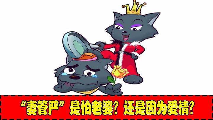 妻管严是怕老婆?还是因为爱情的尊重?