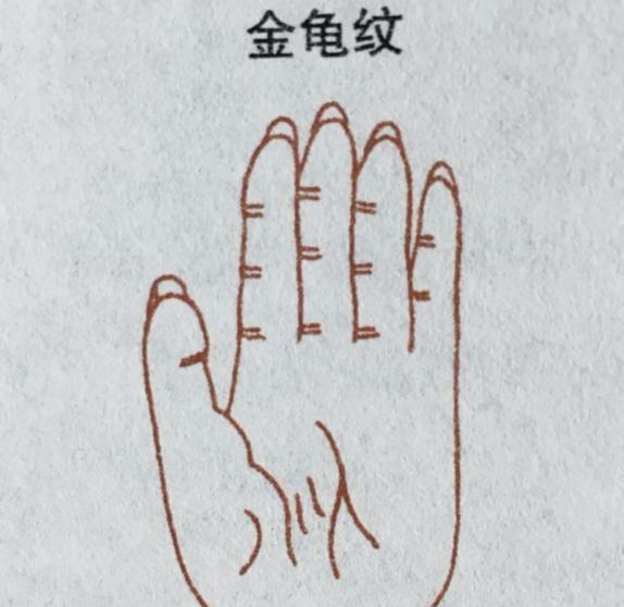 星座运势: 象征大富大贵以及名声地位非特别的手相掌纹, 有你吗?|手相|掌纹|星座_新浪新闻