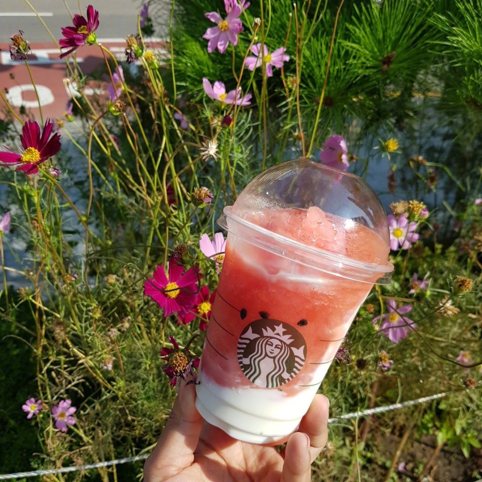 韩国星巴克推出夏季新品西瓜星冰乐了