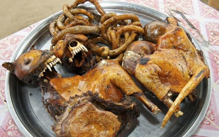 越南|狗肉|游客_新浪新闻