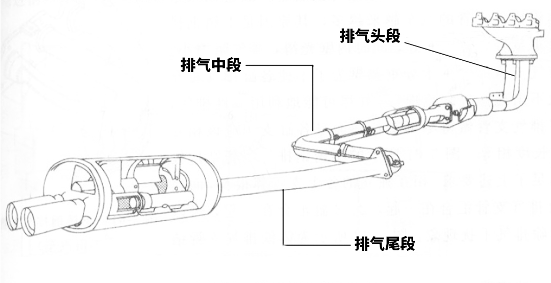 排气管尾鼓解剖图图片