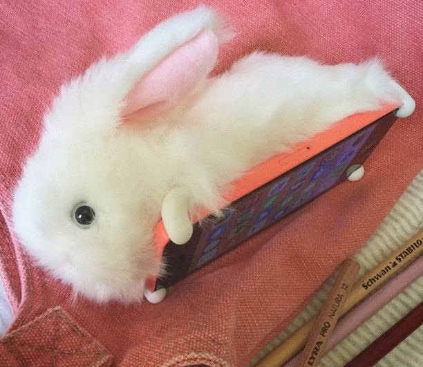 秋冬萌系少女手机壳上新!蓝色妖姬很精致,网红小白兔萌化了!