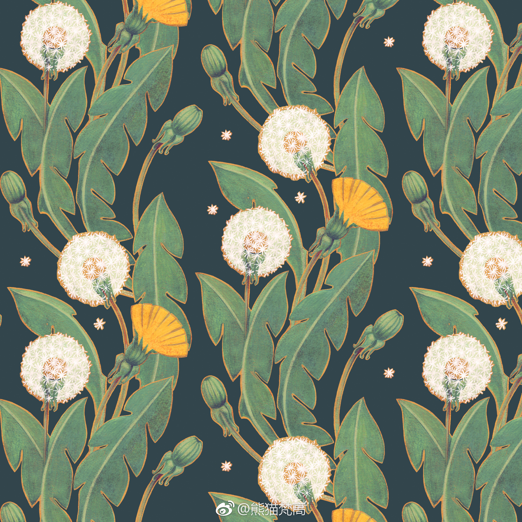 圣彼得堡插画家maria khersonets的花草图案设计作品欣赏